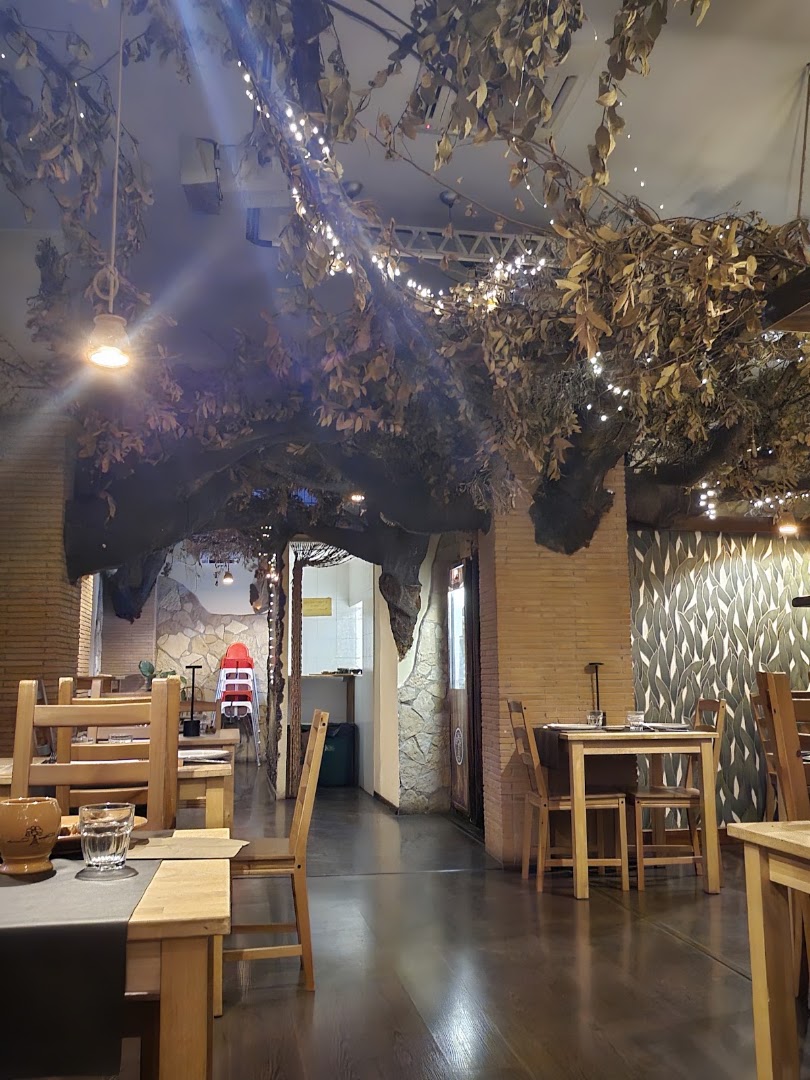 L'Albero Cocciuto