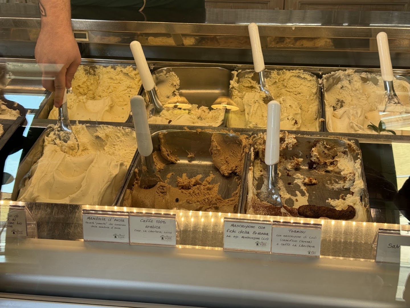 L'Albero dei Gelati