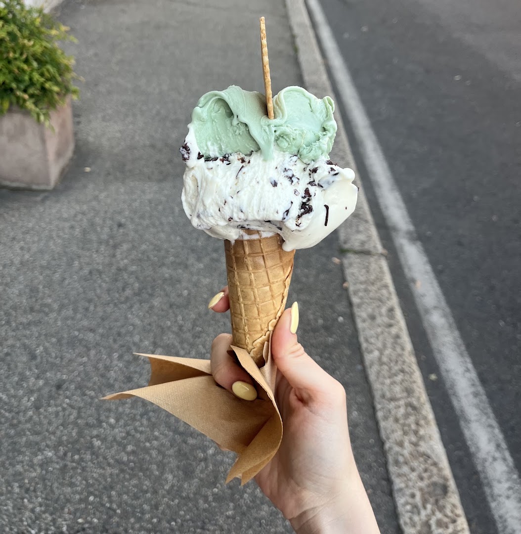 L'Albero dei Gelati