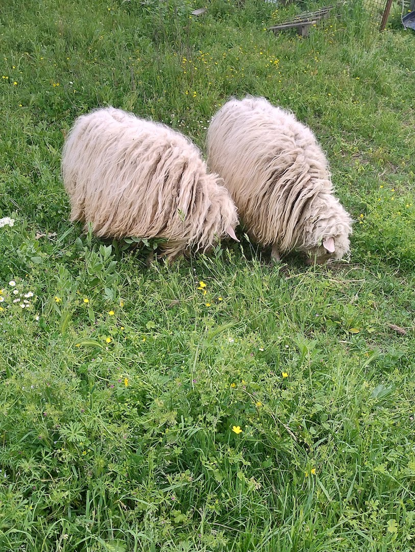 LALLEGROTURISMO la Quercia