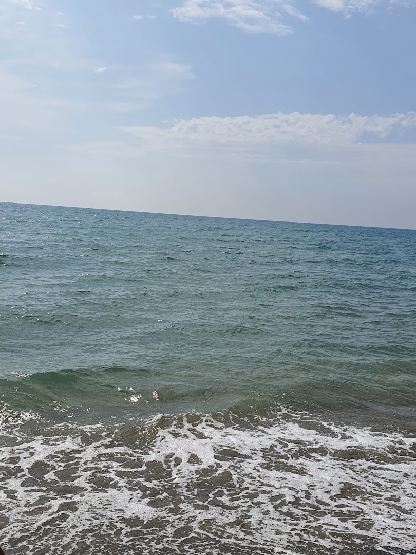 L'Ancora - Stabilimento Balneare, Bar, Ristorante, Tavola Calda, Biblio-Beach, Lido di Ostia