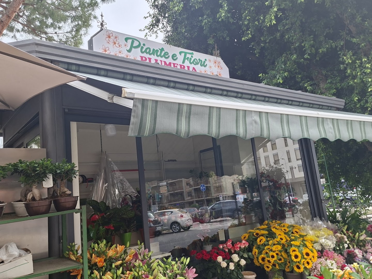 L'Angolo dei fiori, Palermo