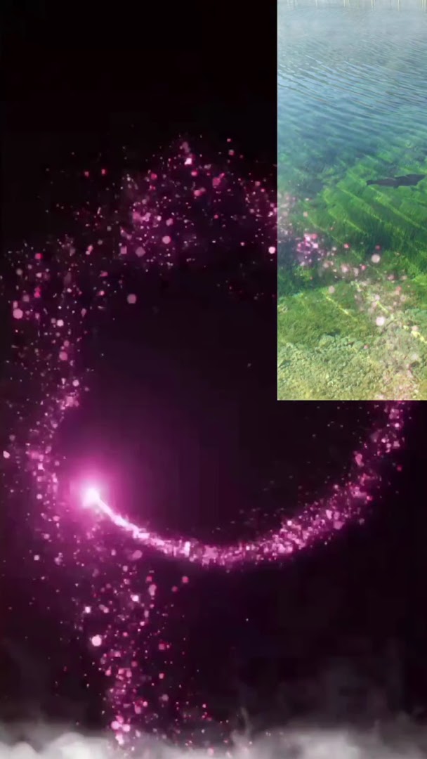 L’angolo Delle Meraviglie, Atina
