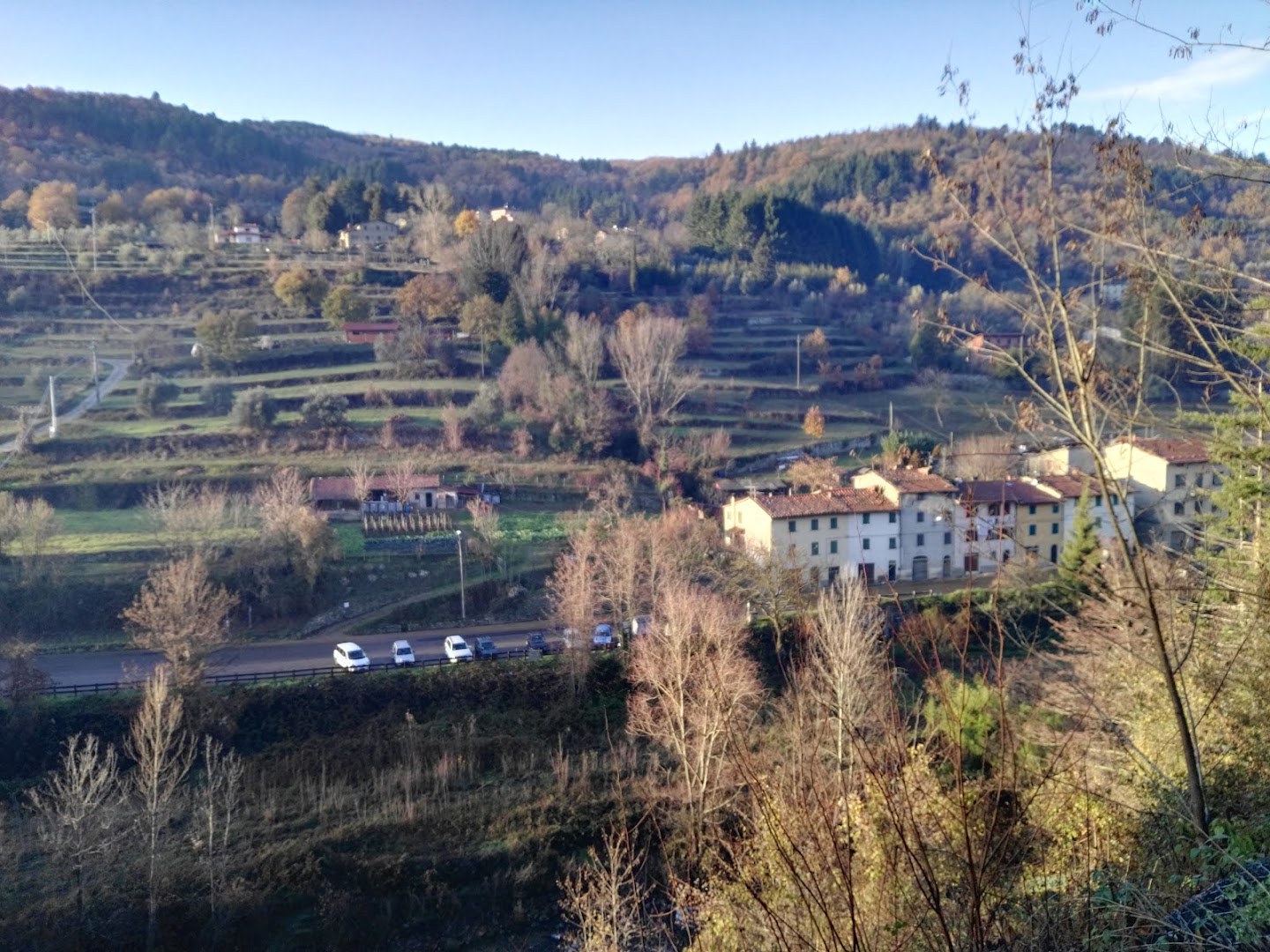 Lanini