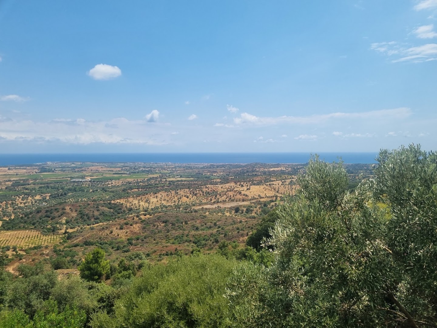 L’Aquila d’oro