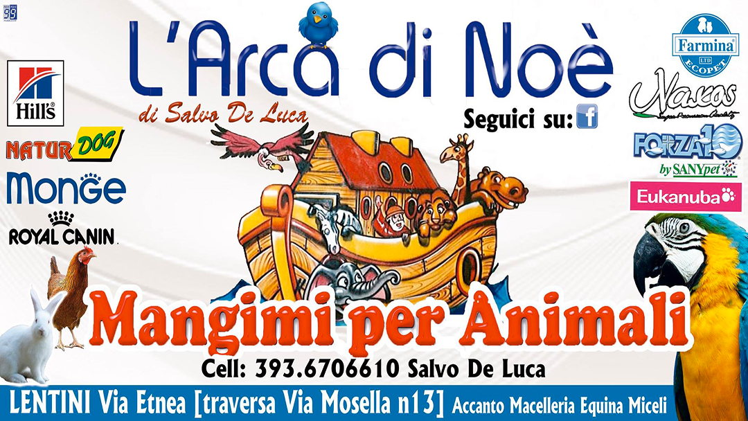 L'Arca di Noè di De luca Salvatore