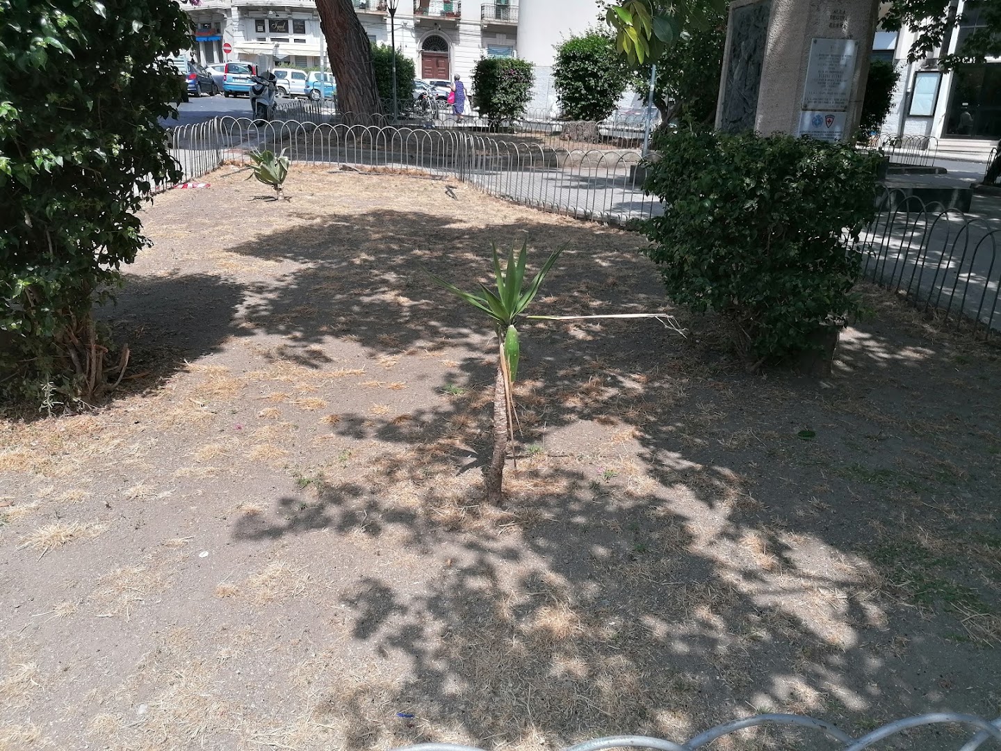 Largo Seggiola