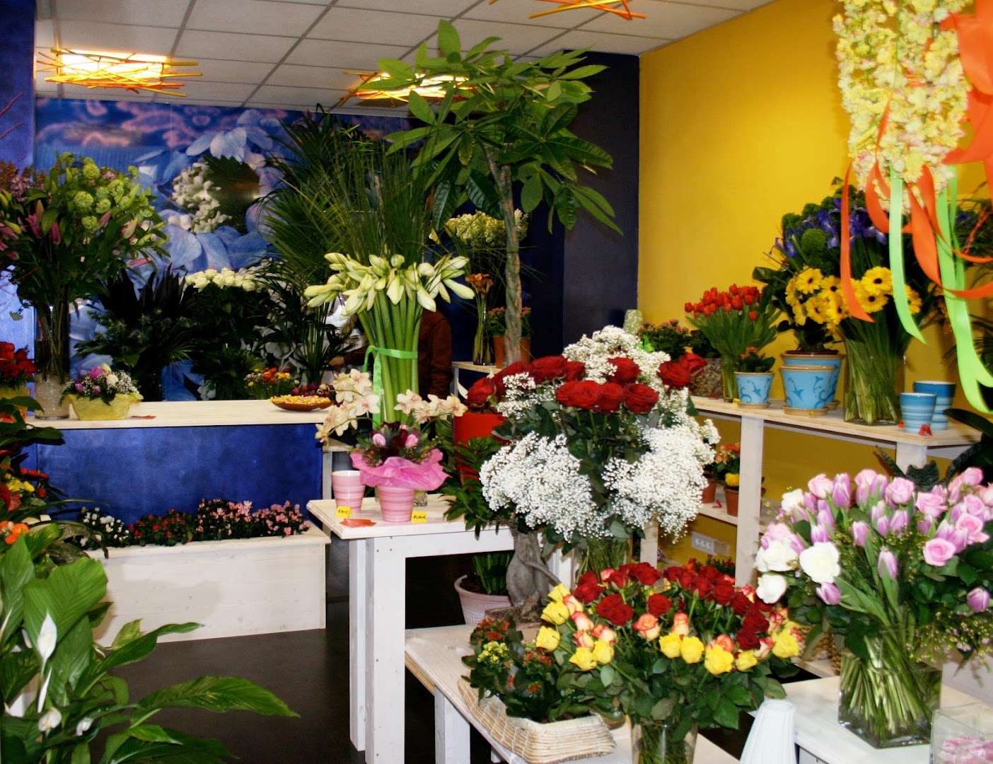L'artefiori - Fiori online Roma Consegna a domicilio, Roma