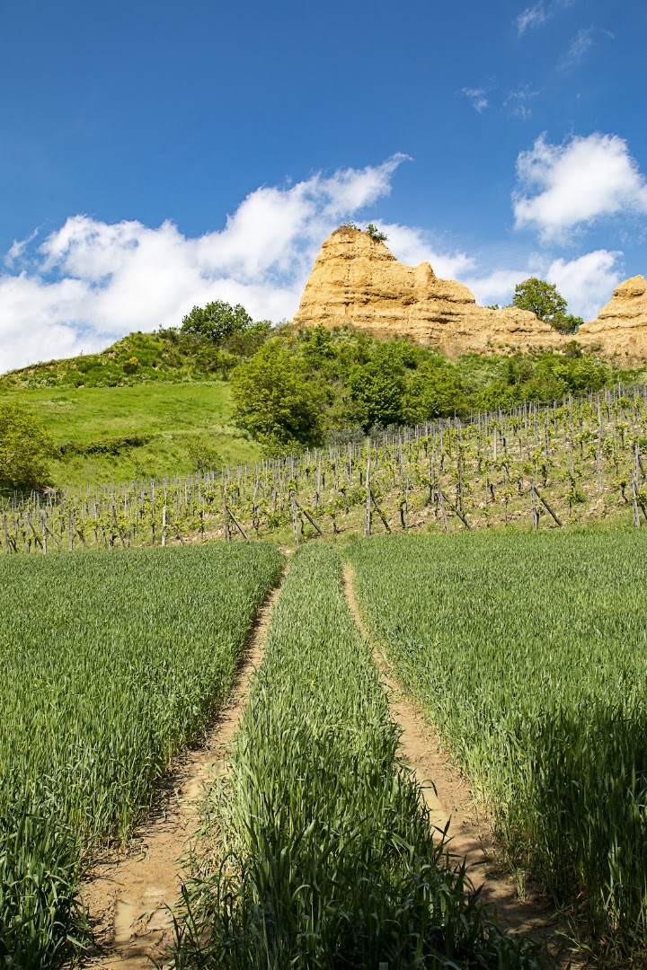 Le balze dell'acqua zolfina
