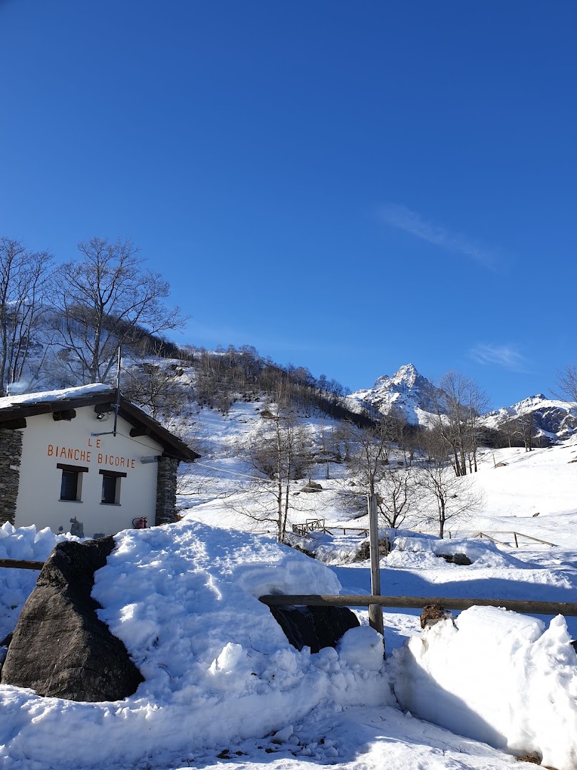 Le bianche bigorie