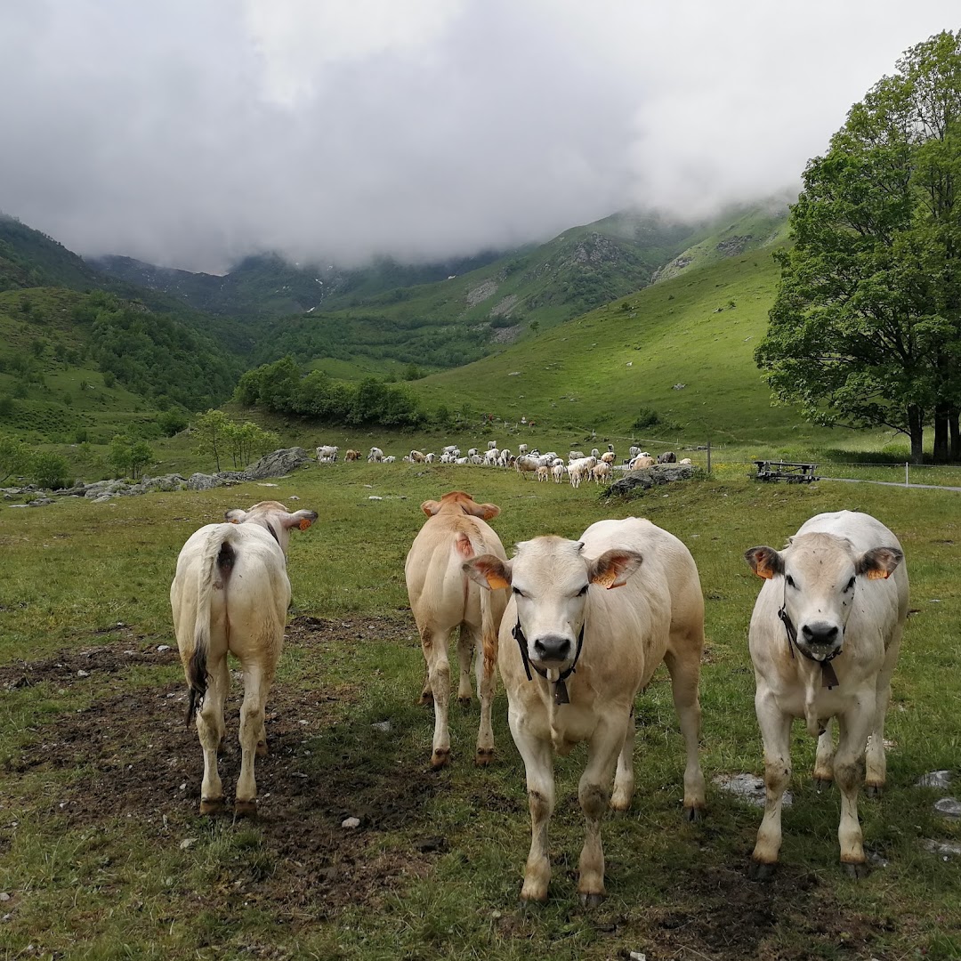 Le bianche bigorie