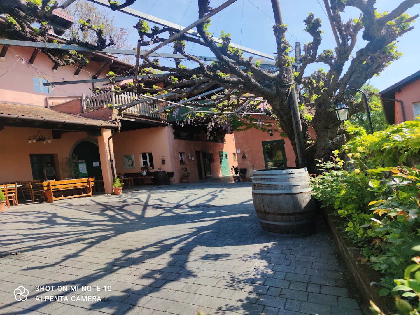 Le Due Torri - Wine Shop