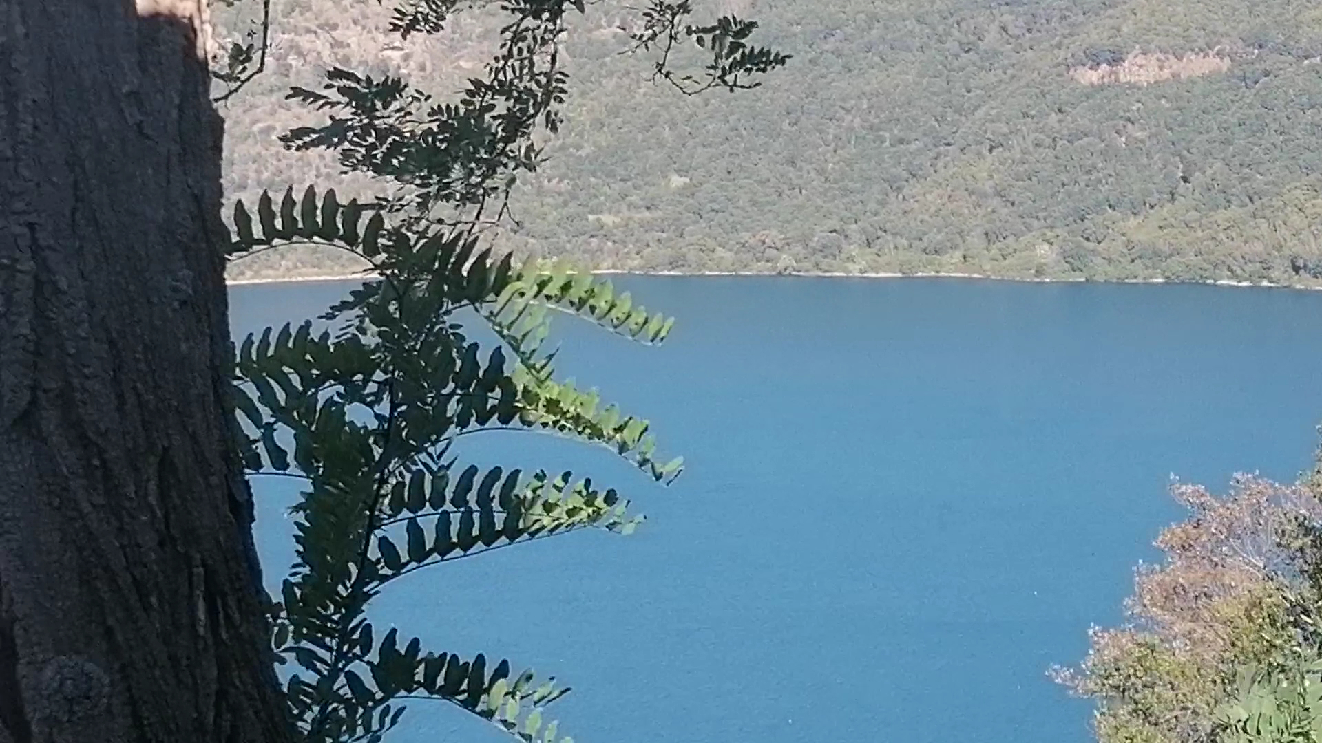 Le Fratte Ignoranti
