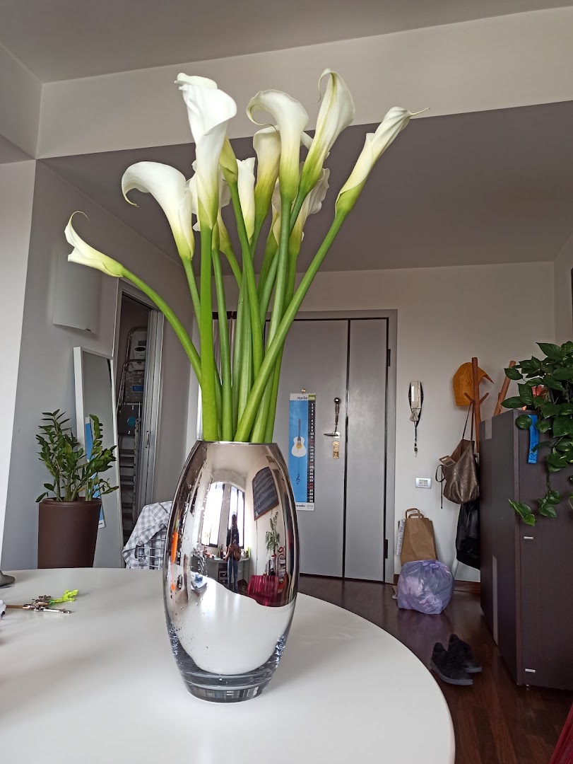 Le Gemelle Floral Designers, Statte