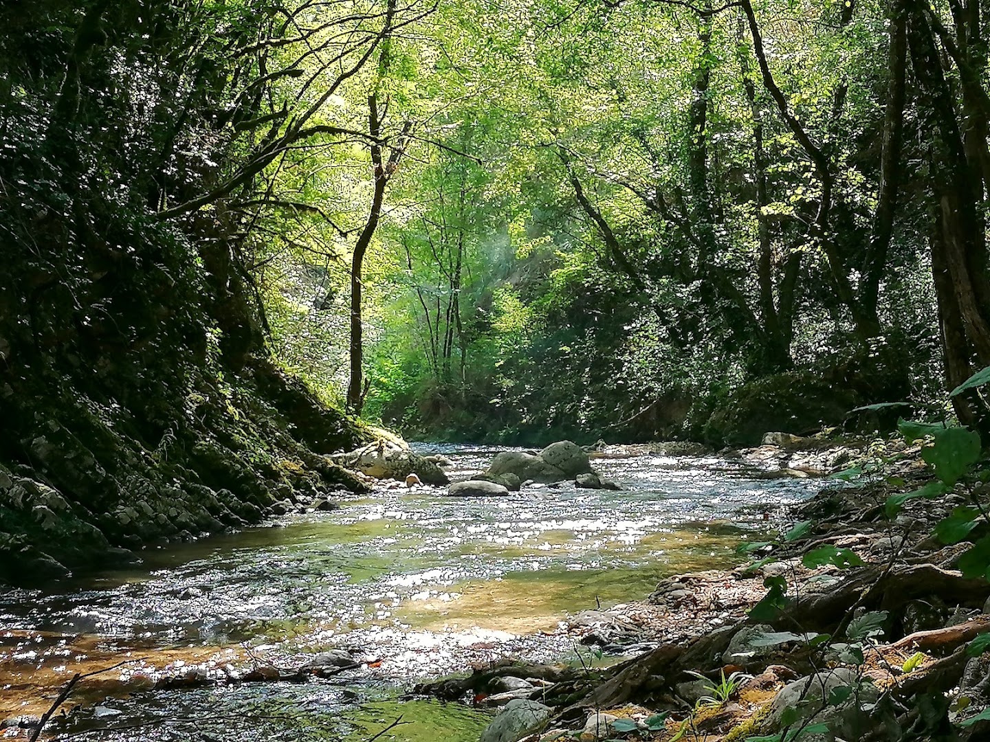 Le Gole del Farfa
