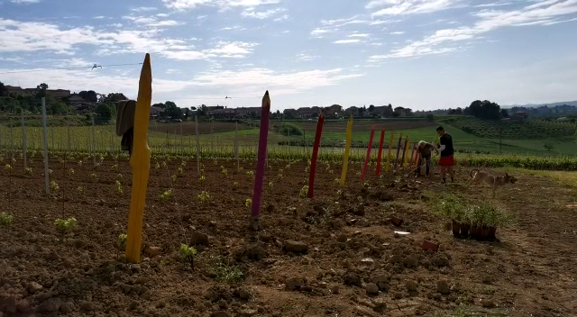 Le Matite dei Cinque Quinti alla Giàrinna