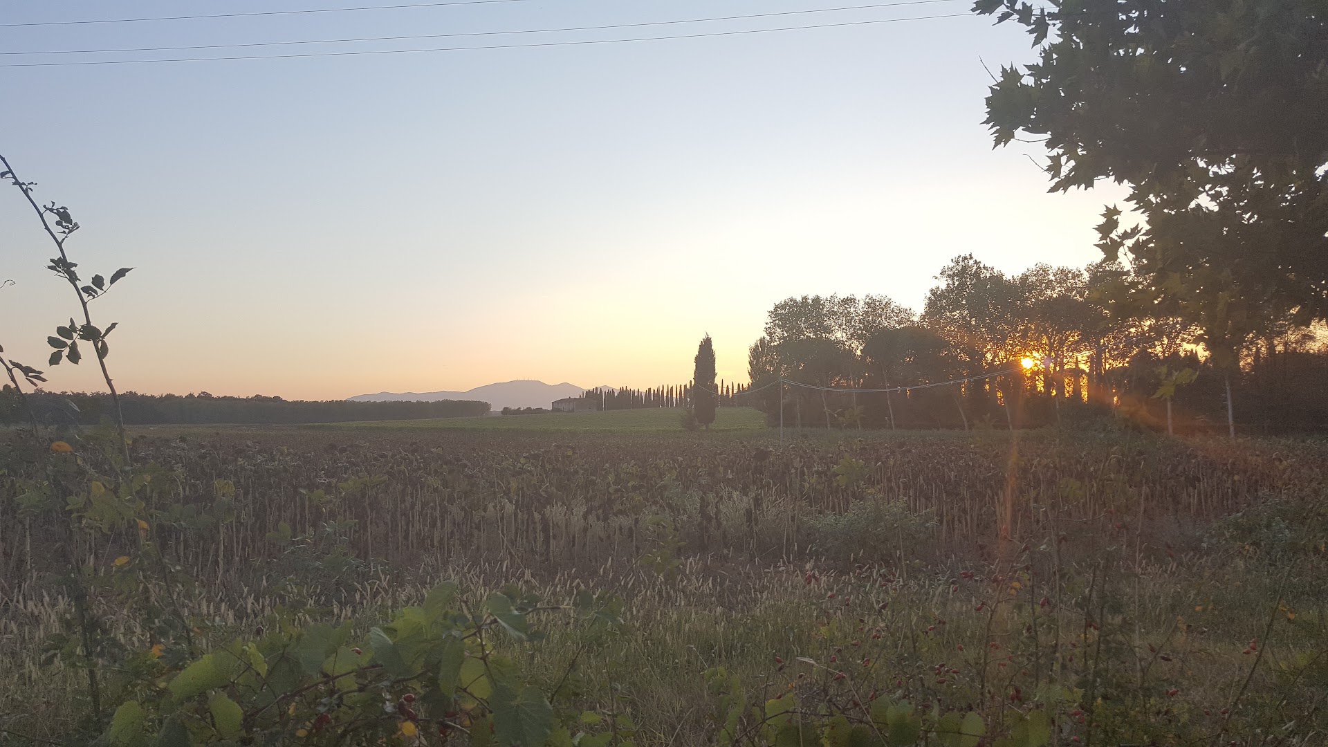 Le Morette