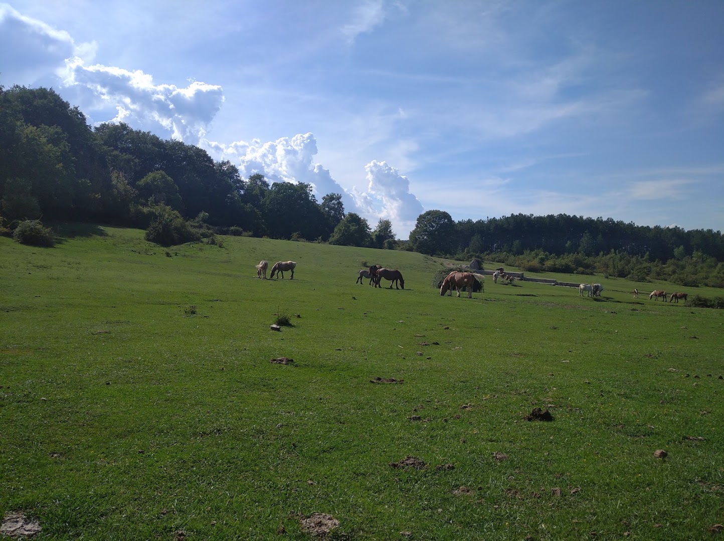 Le Pratarelle