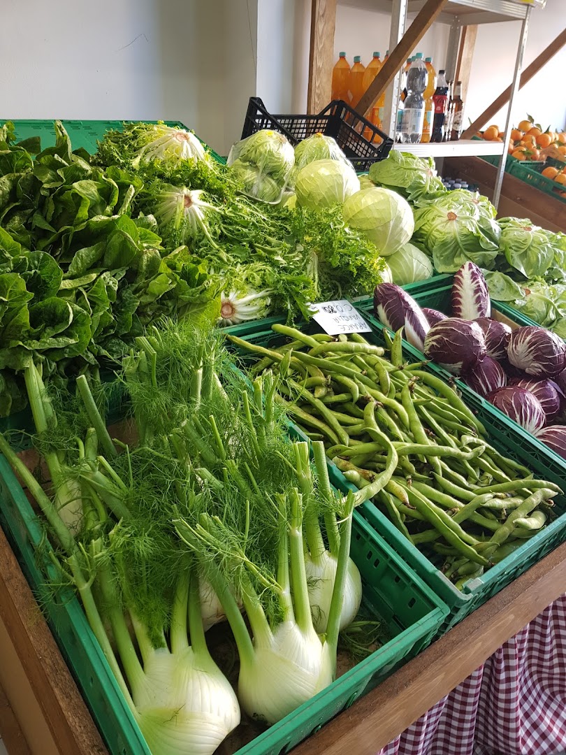 Le Stagioni della Frutta, Catania