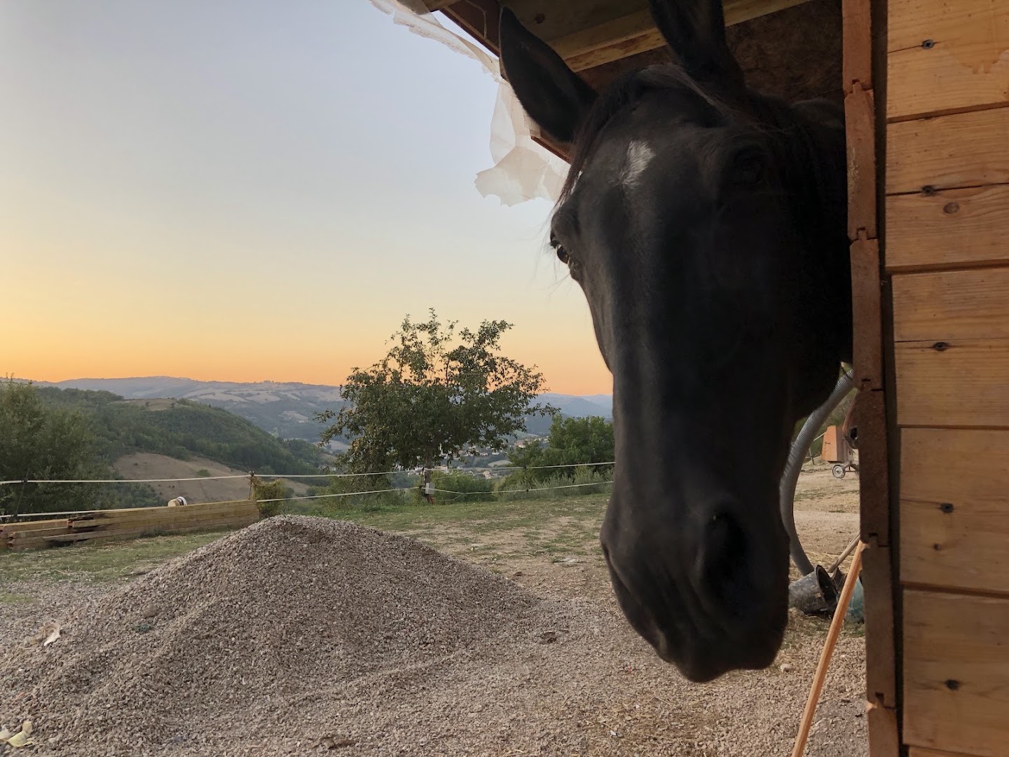 Le Torracce Agriturismo Olistico