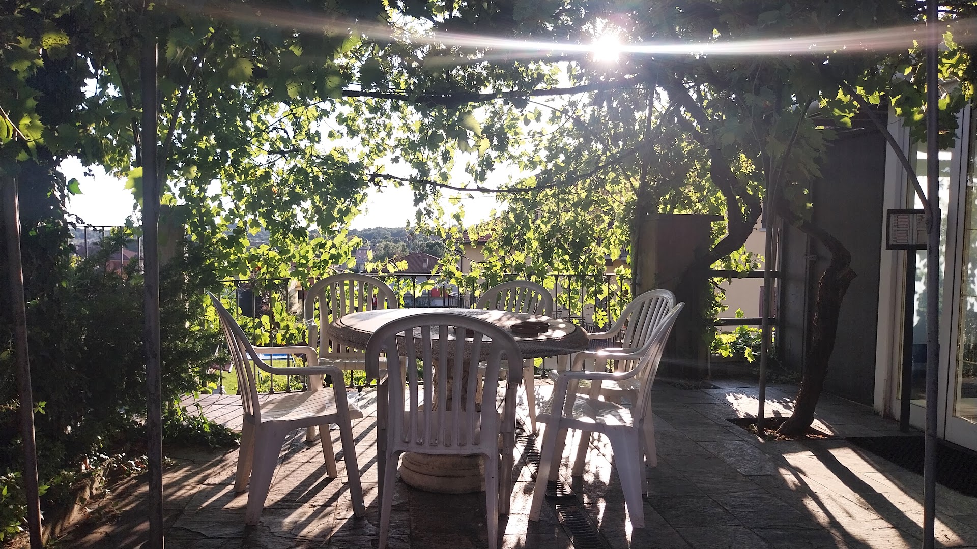 Le Vigne