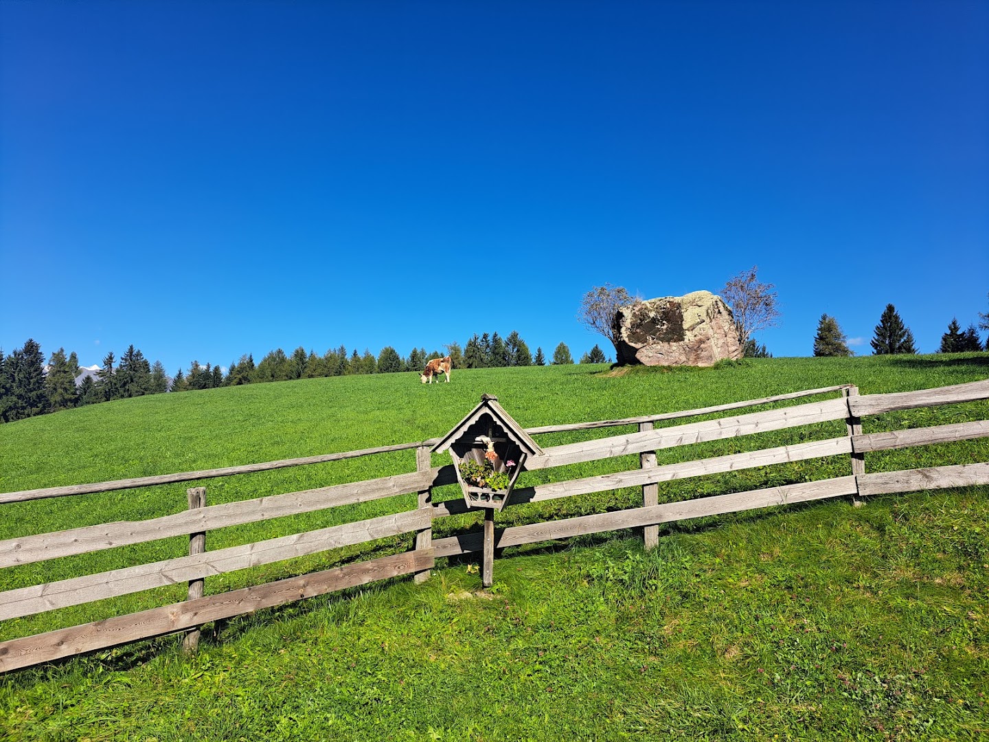 Leadner Alm