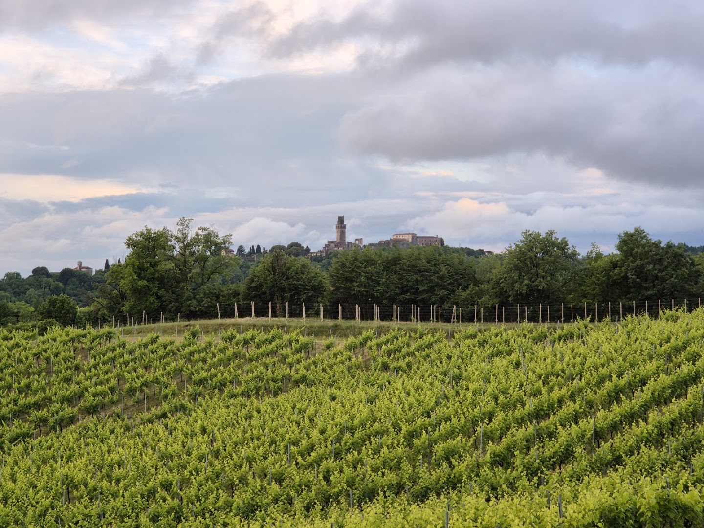 Le Papere in Collina