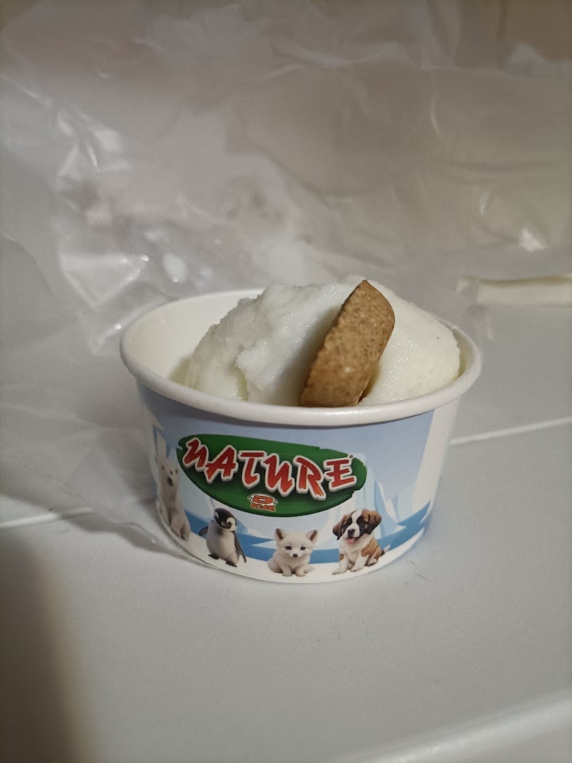 L'era glaciale