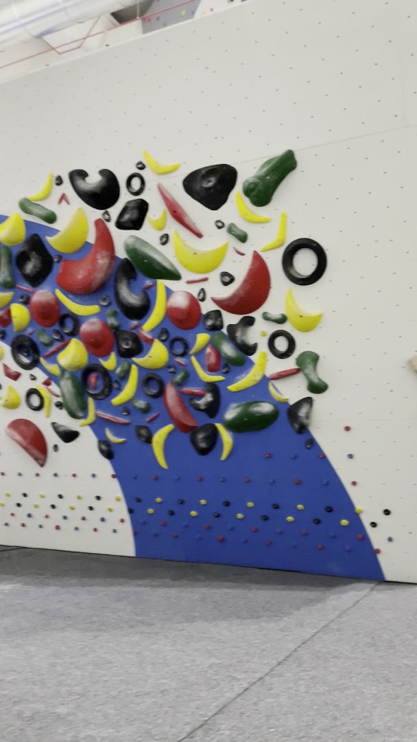 Level 24