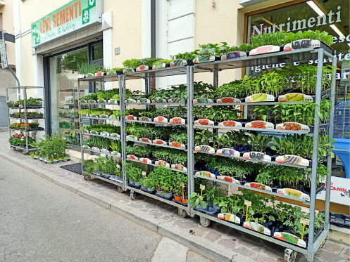 Levi Sementi - Pet Shop & Garden
