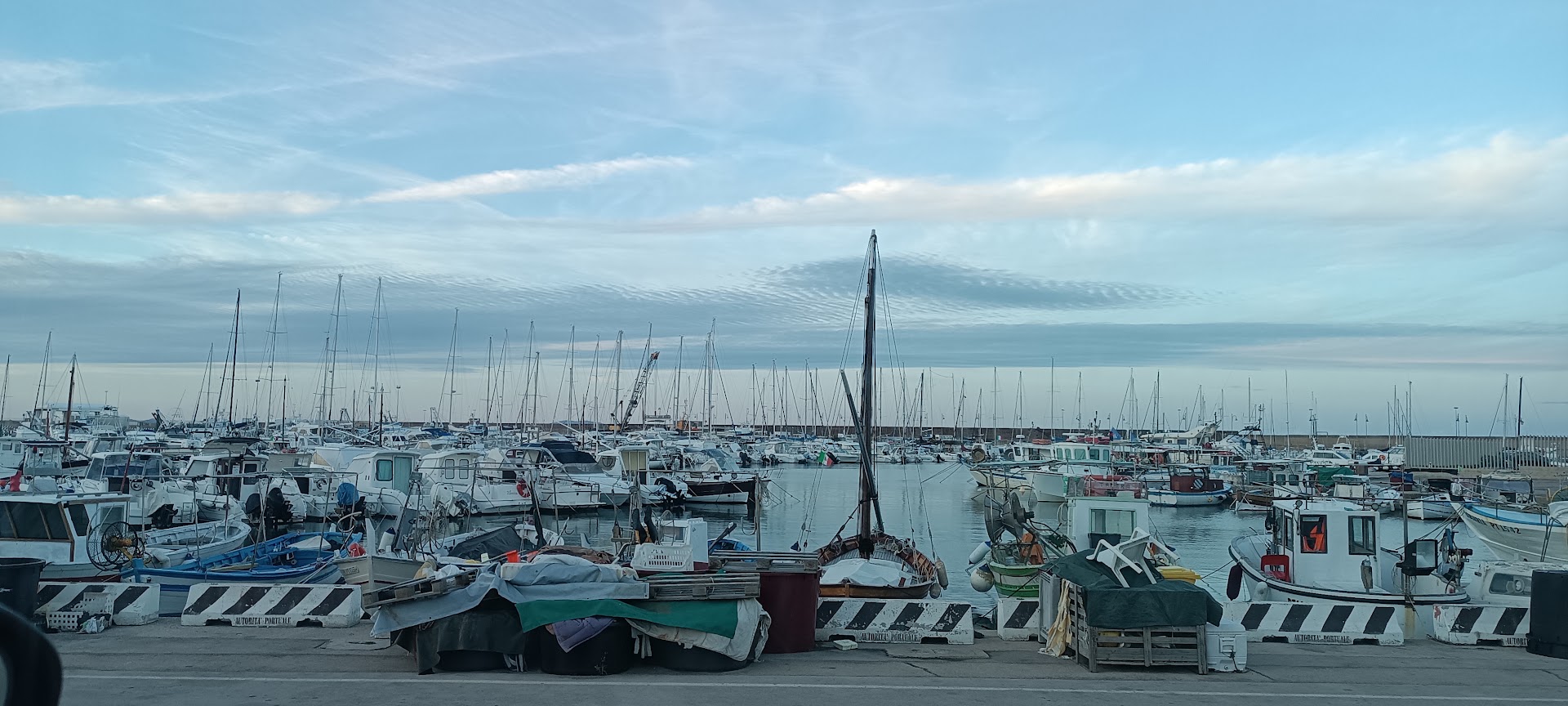 Lido 33