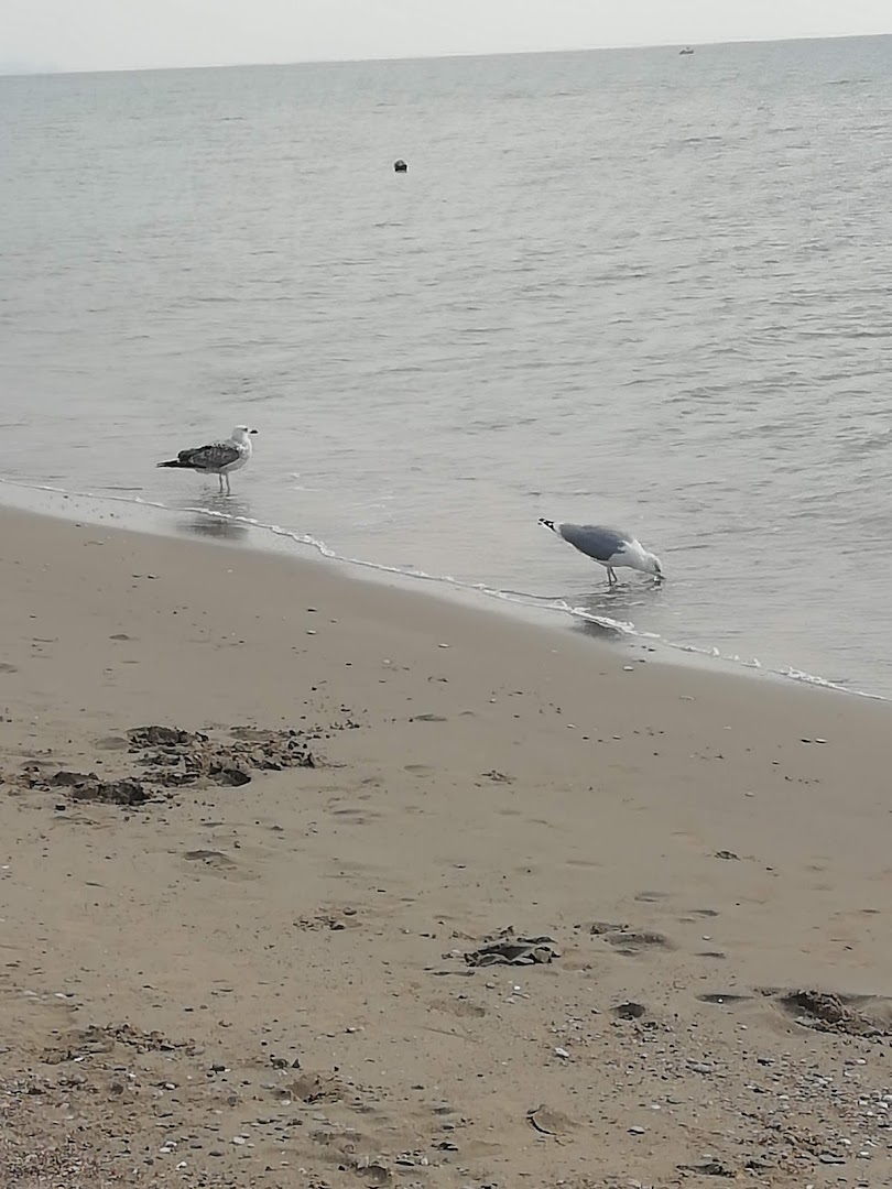 Lido Albatros, Margherita di Savoia