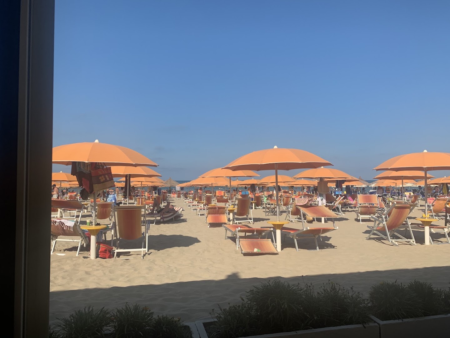 Lido Albatros