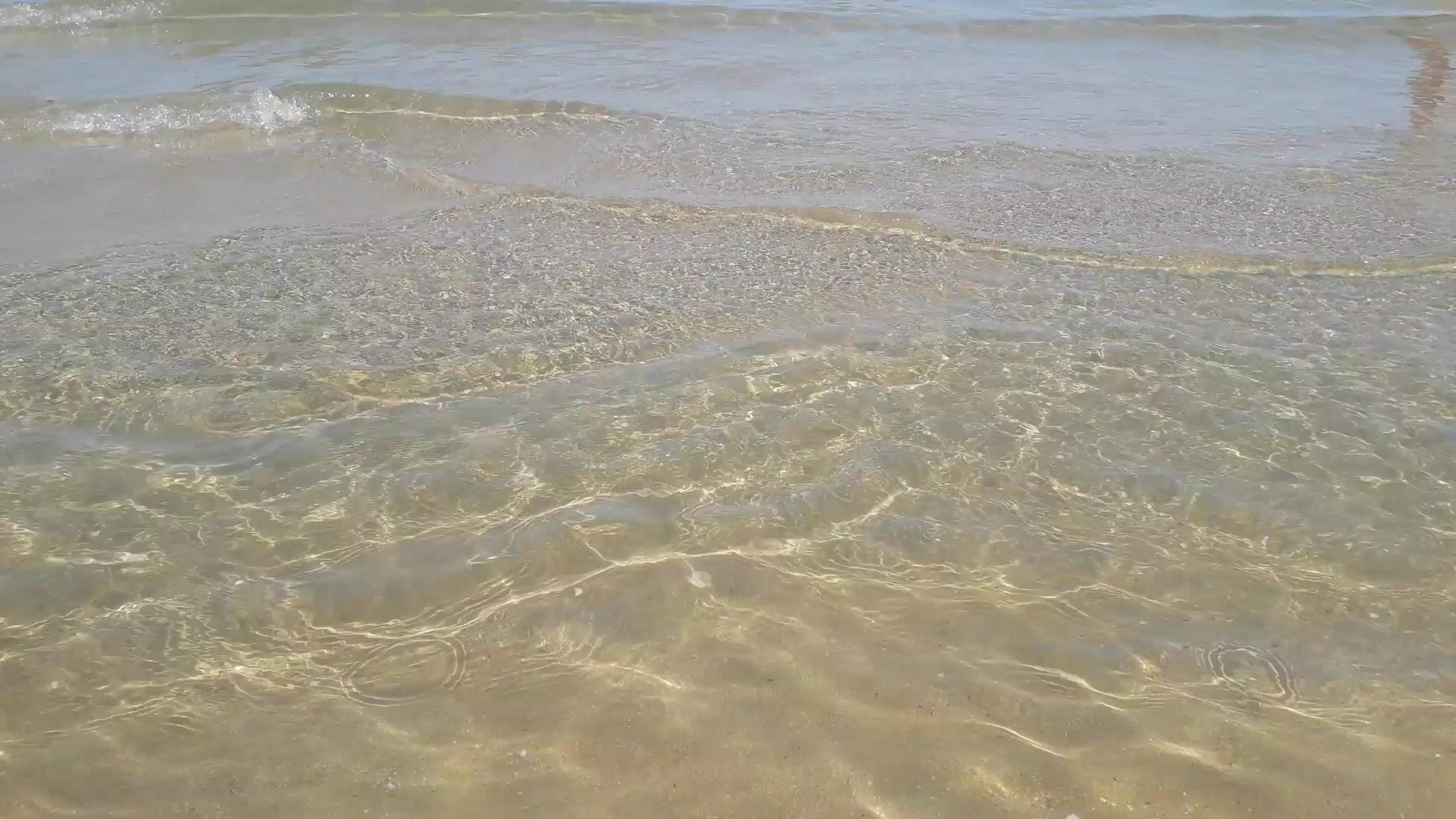 Lido Albatros