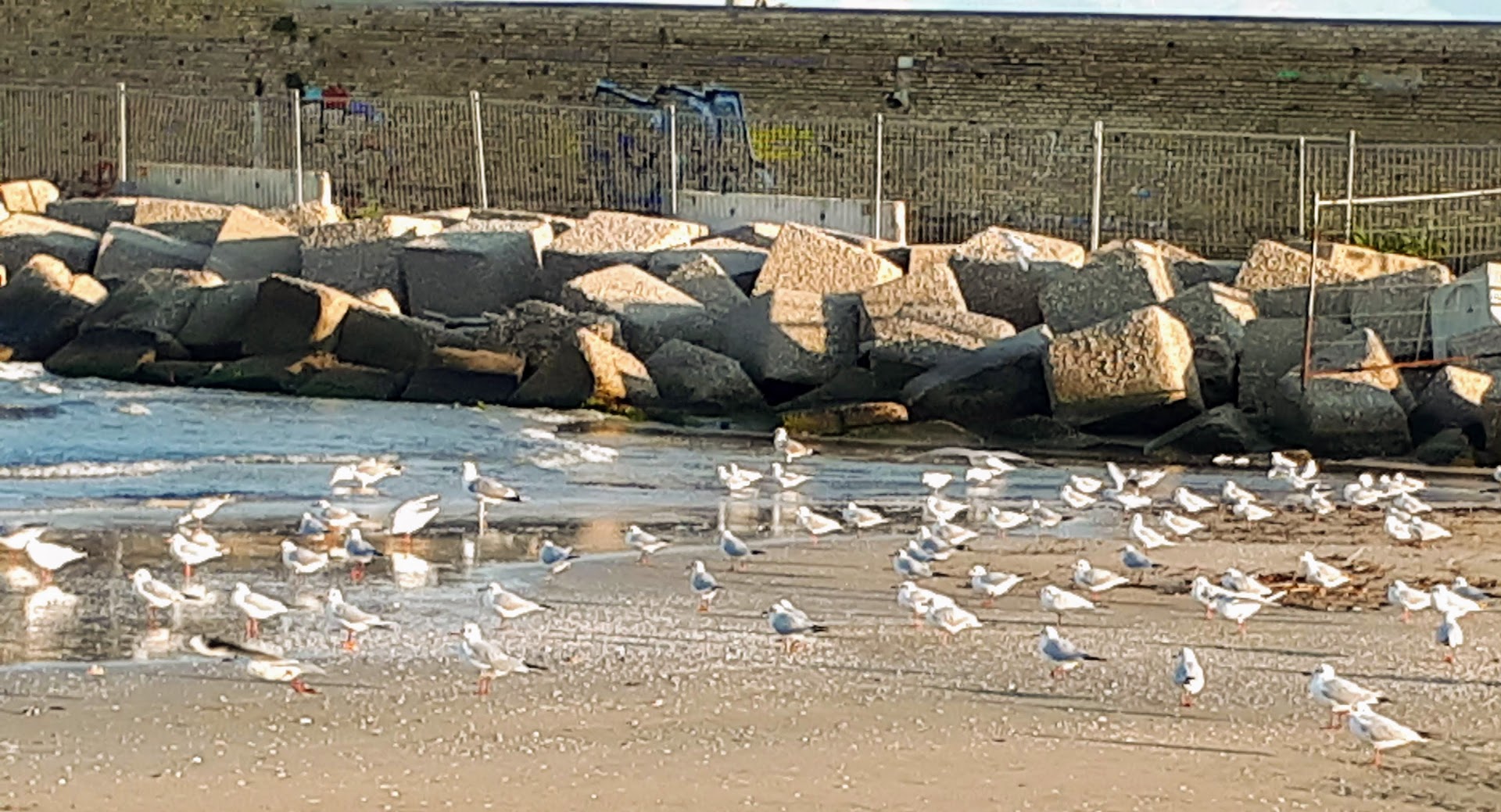 Lido Alta Marea