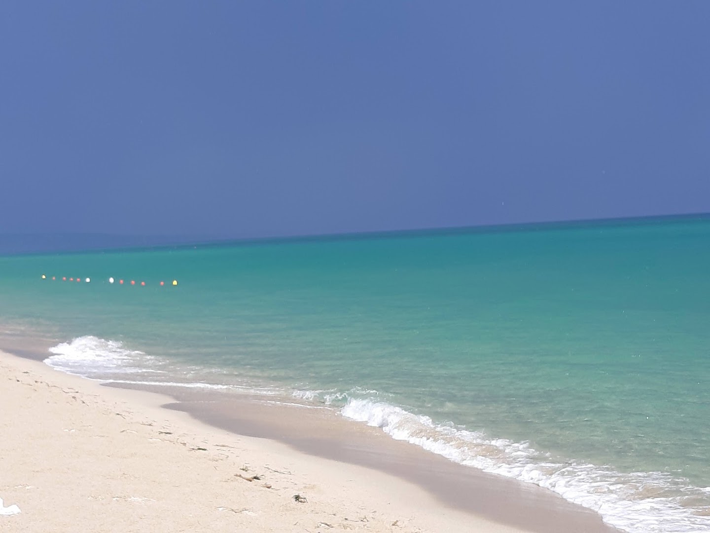 Lido BarCollando