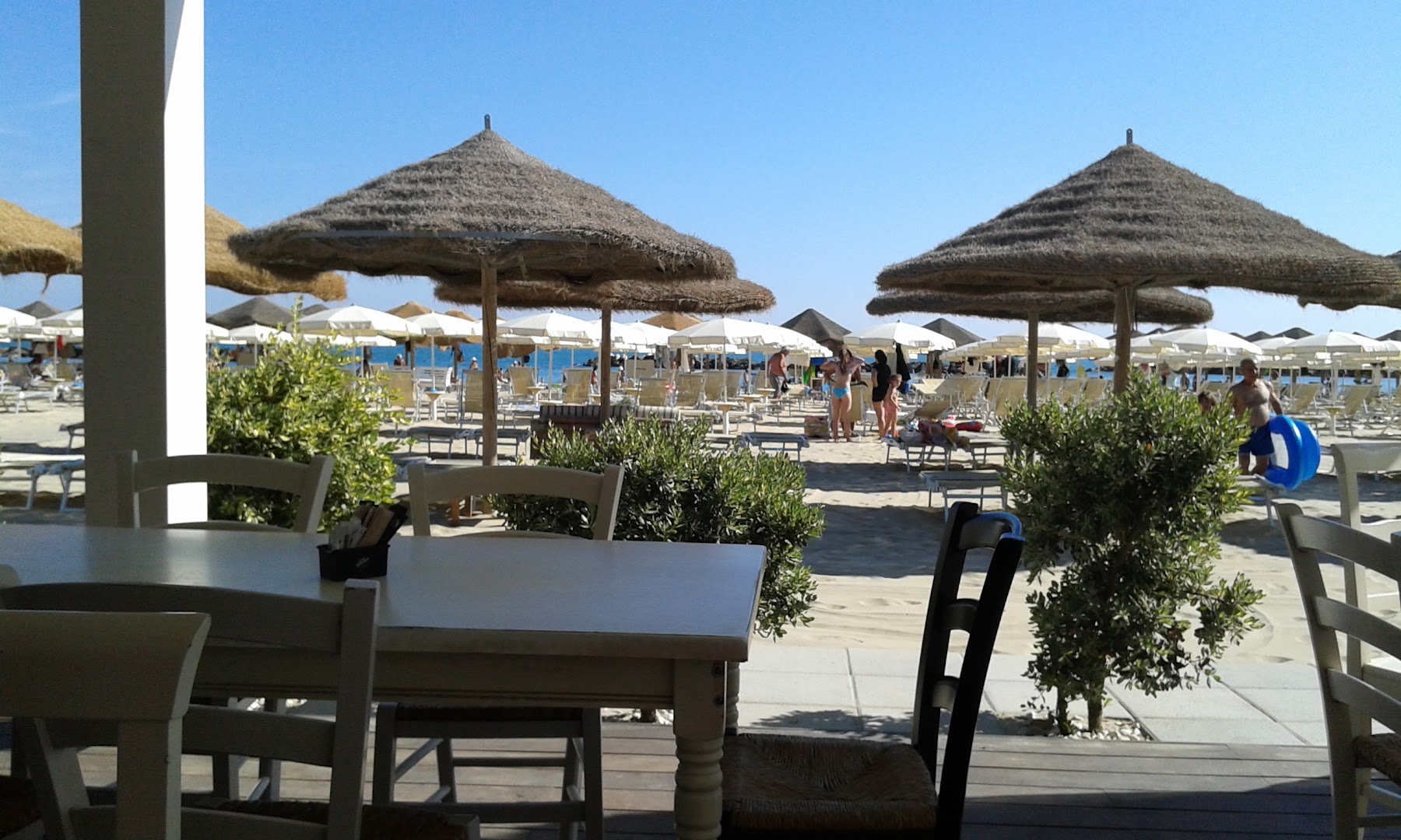 Lido Barracuda