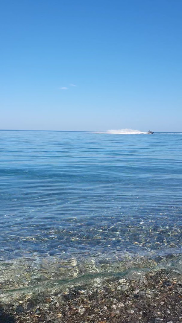 Lido Barracuda