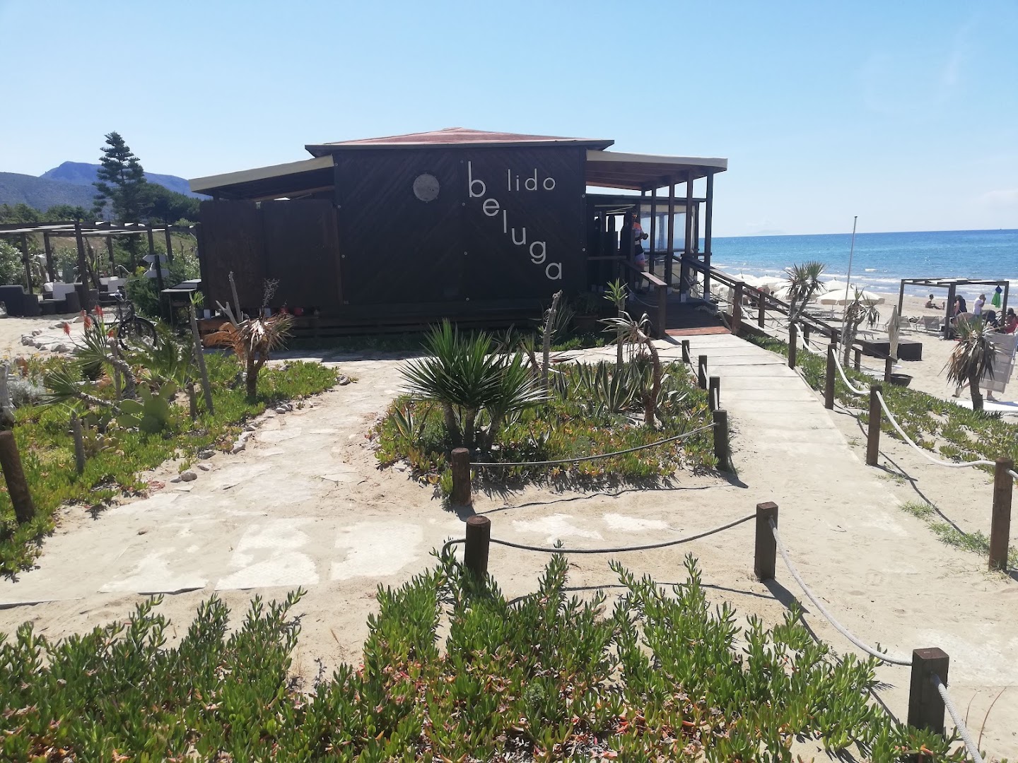 Lido Beluga