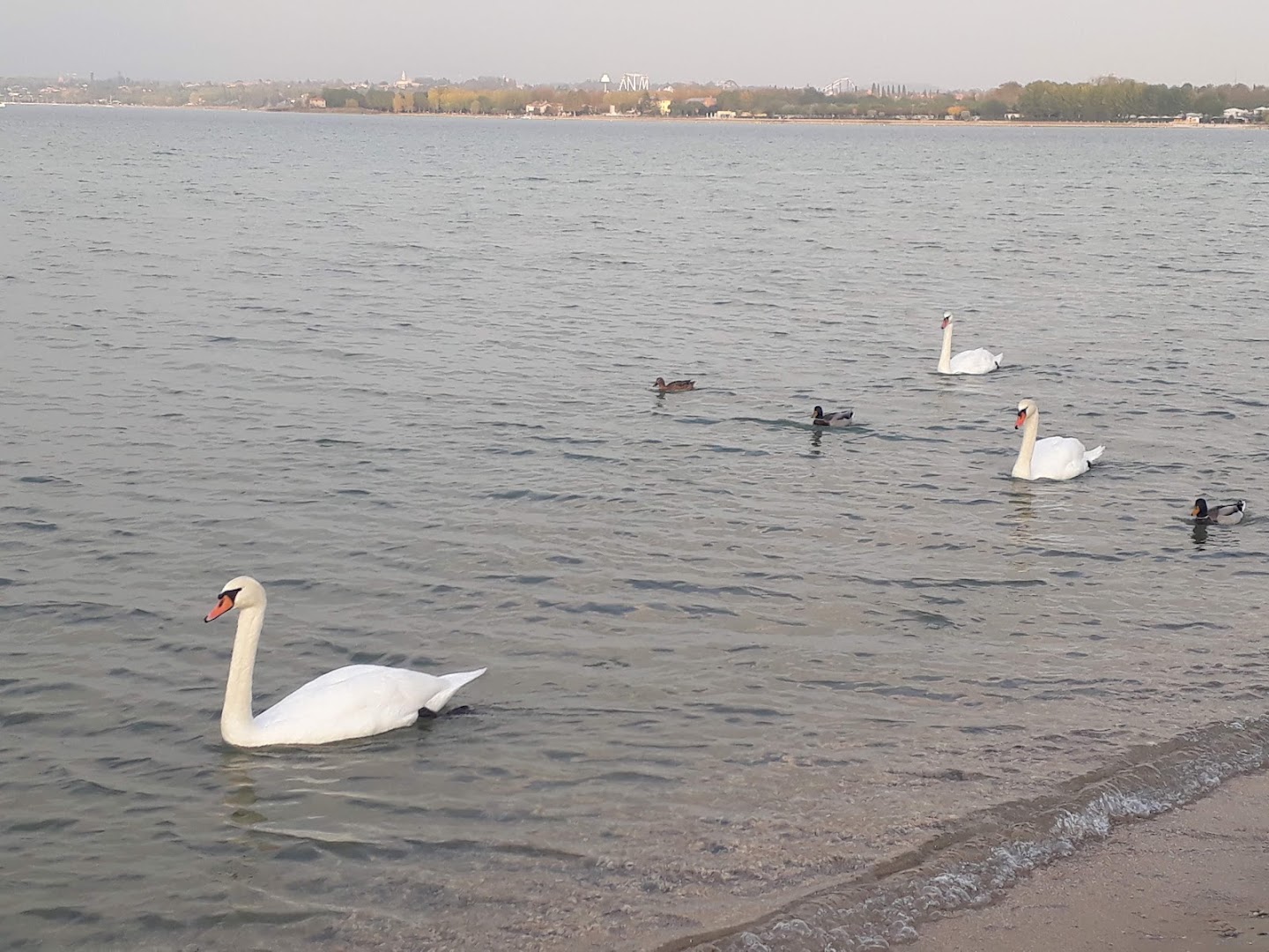 Lido Cappuccini, Peschiera del Garda