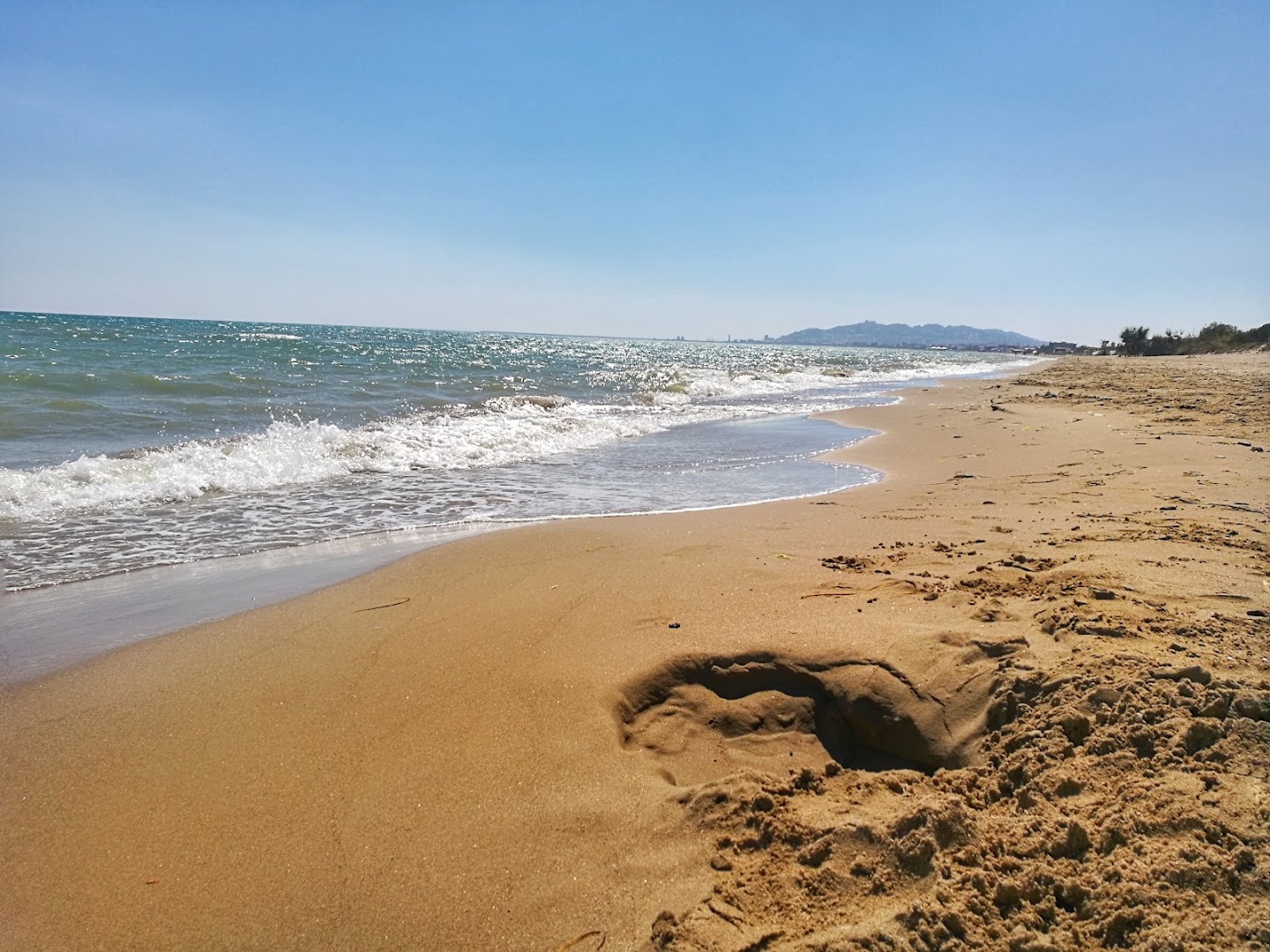 Lido cona