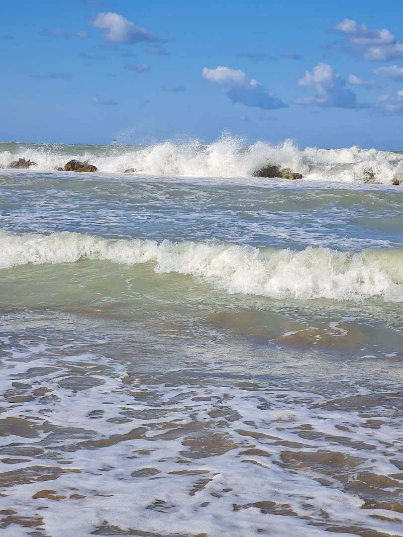 Lido Conchiglia Azzurra