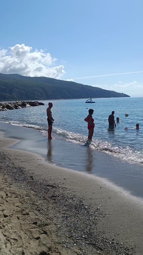 Lido dei Pigri srl