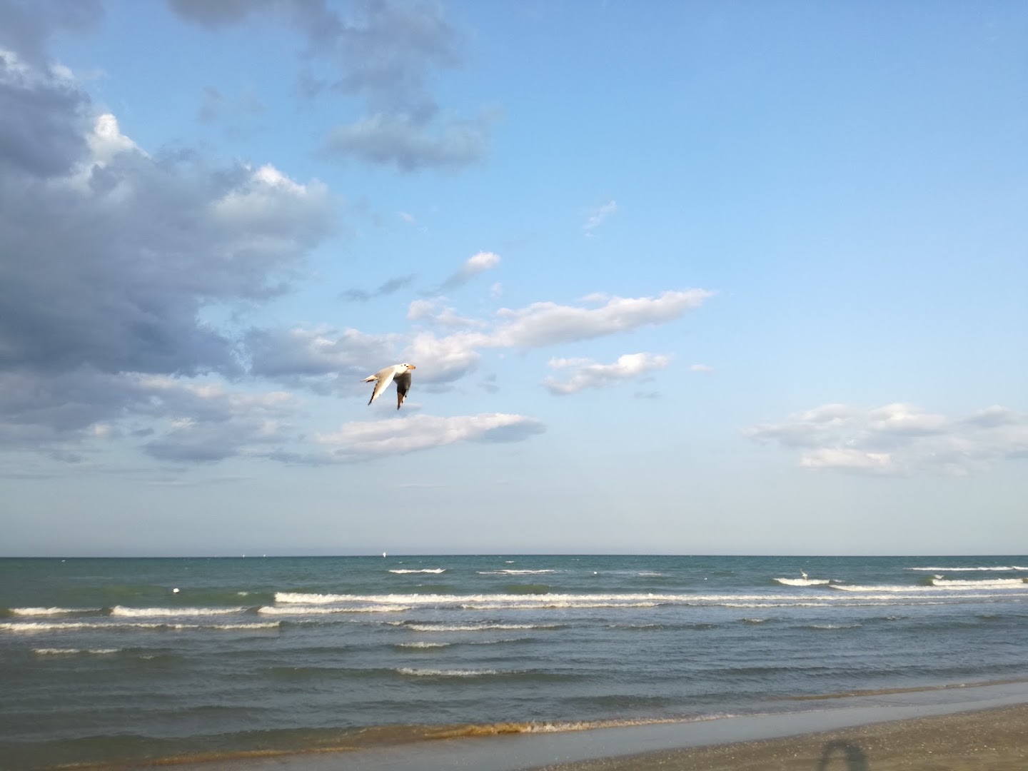 Lido delle Palme Bagni 96/97
