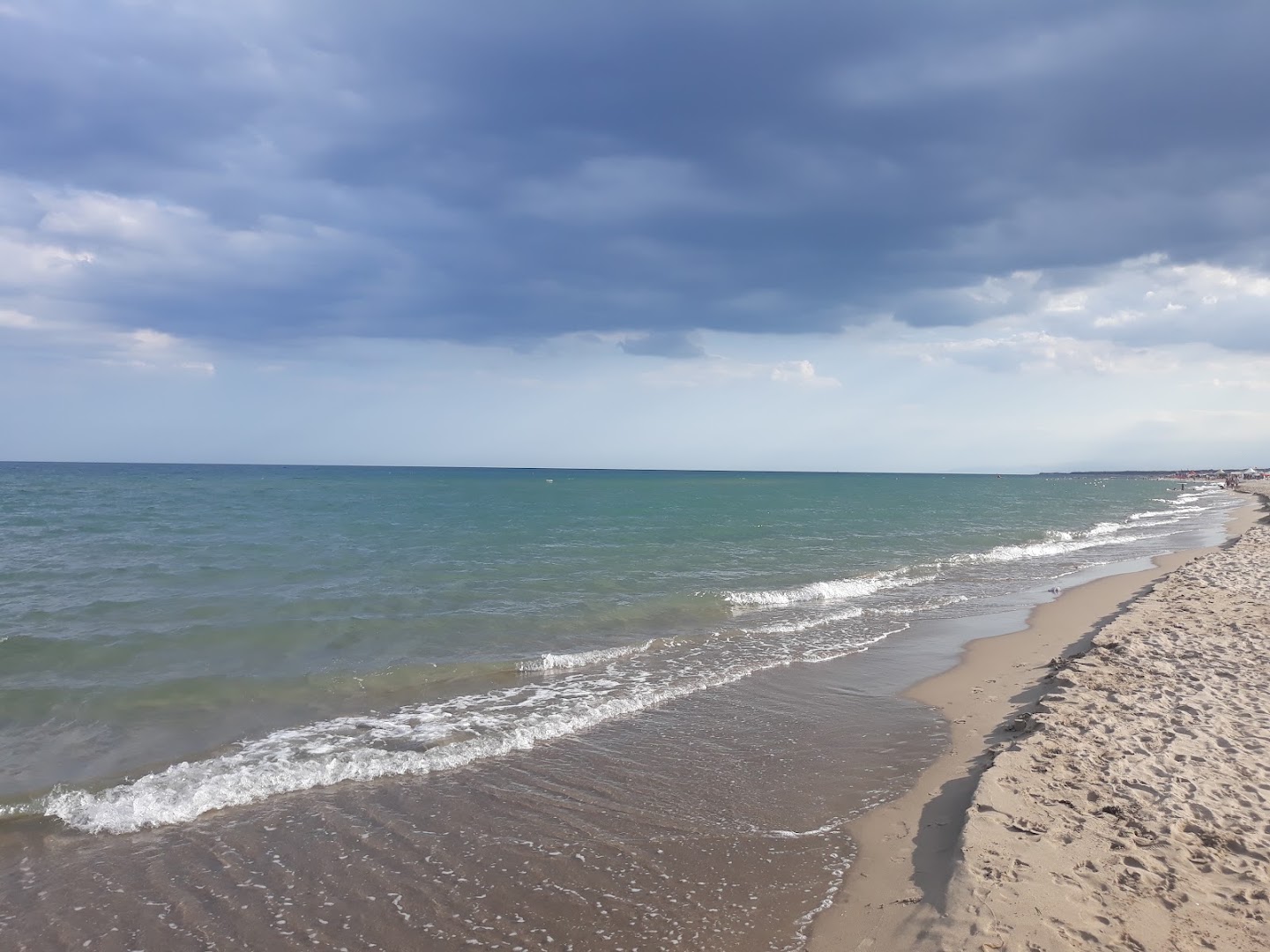 Lido Dubai spiaggia per cani