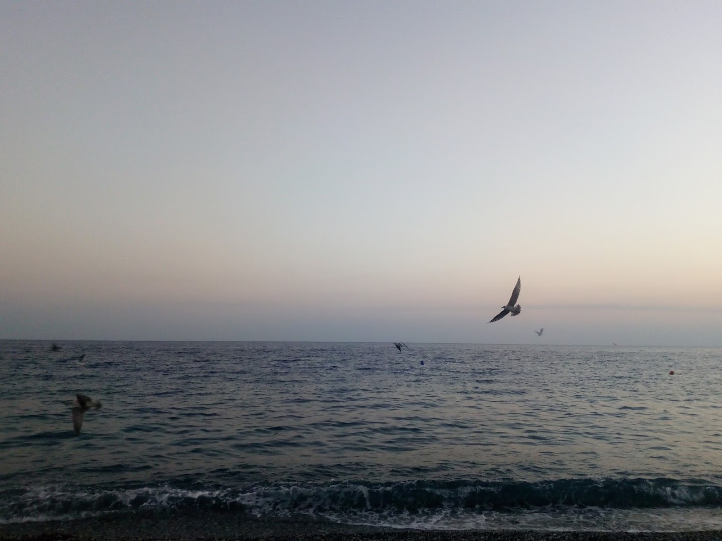 Lido El Caribe