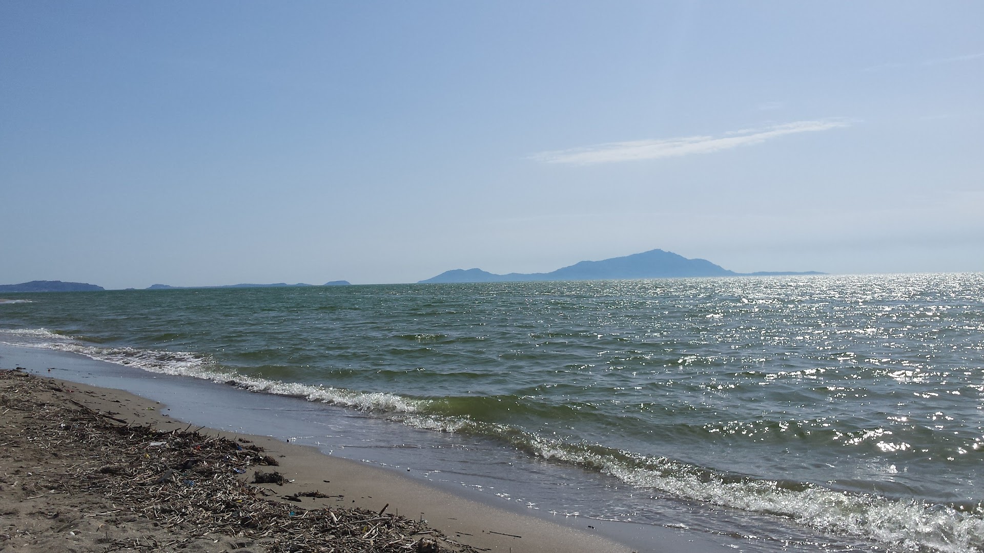 Lido Gallo