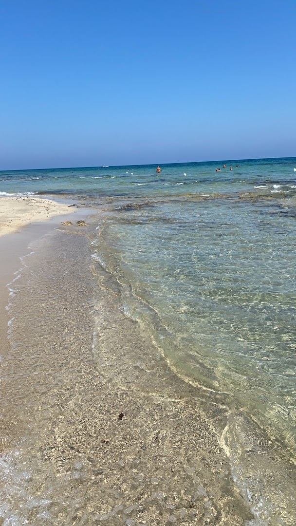 Lido Granchio Rosso