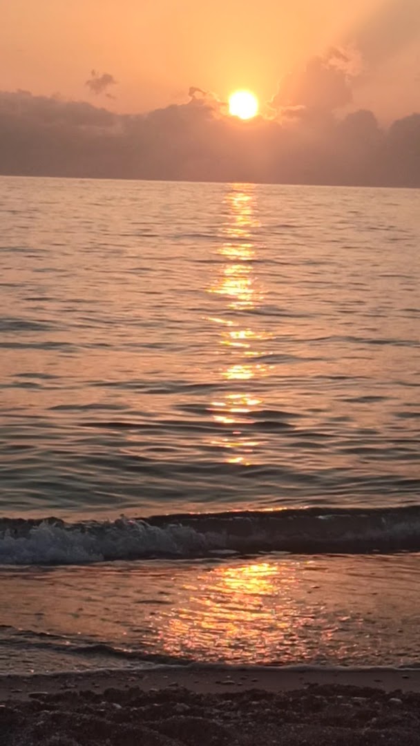 Lido I Delfini