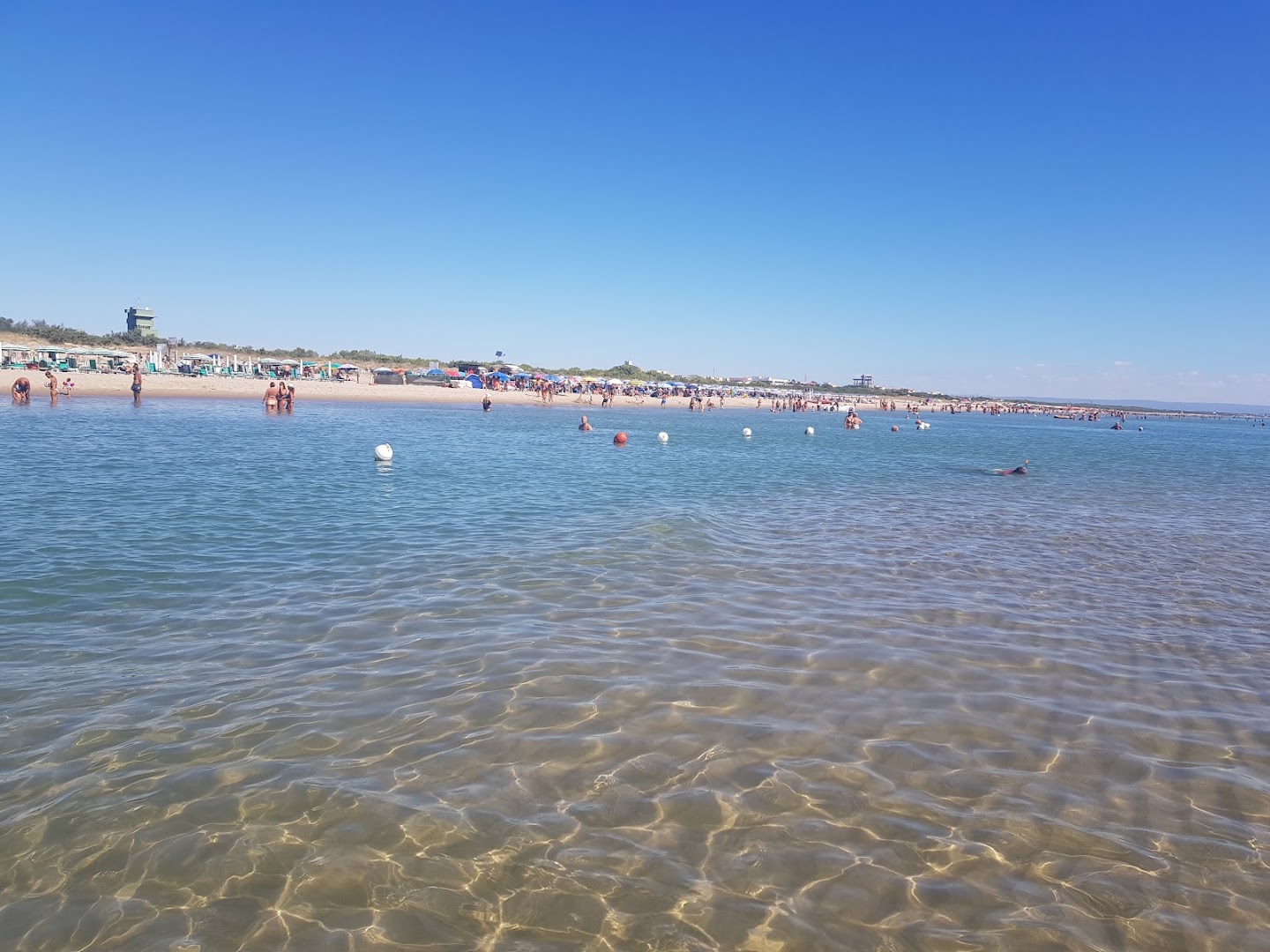 lido il gabbiano
